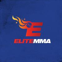 Elite MMA image 1